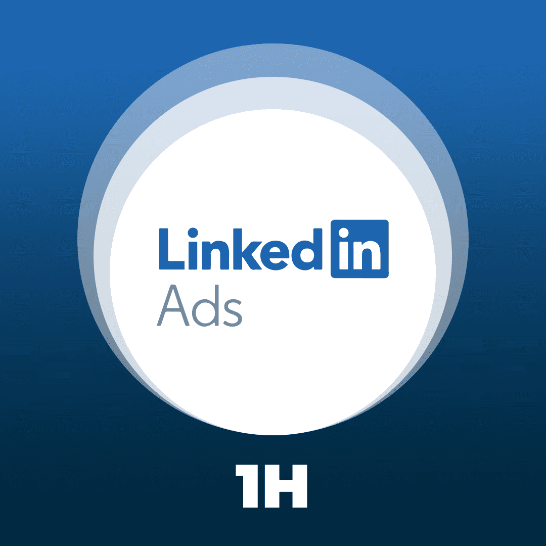 Formation Linkedin Ads 1h