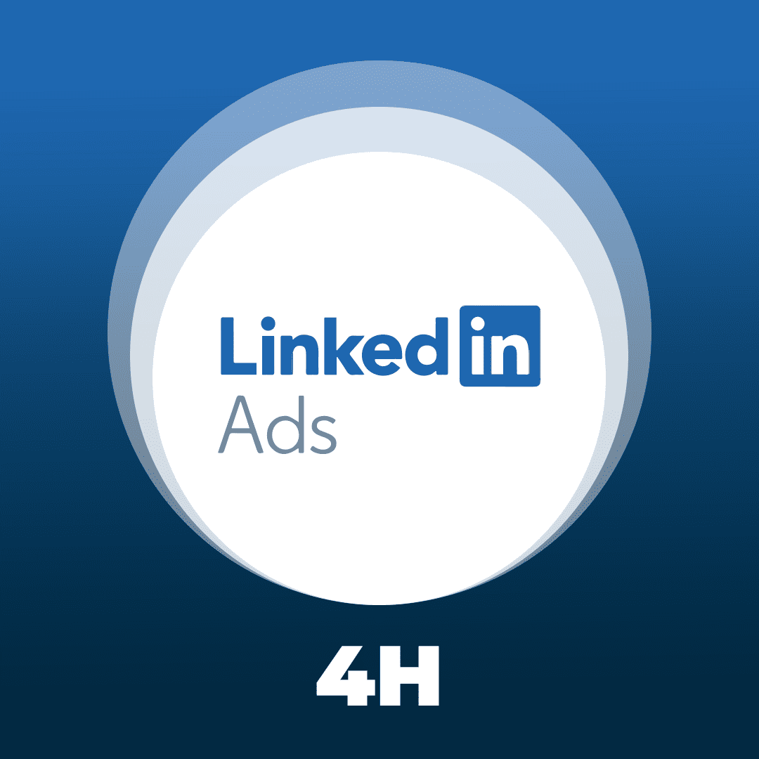 Formation Linkedin Ads 4h