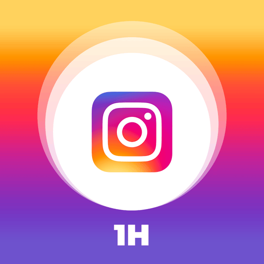 Formation Instagram 1h