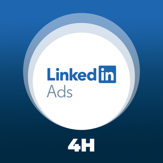 Formation Linkedin Ads 4h